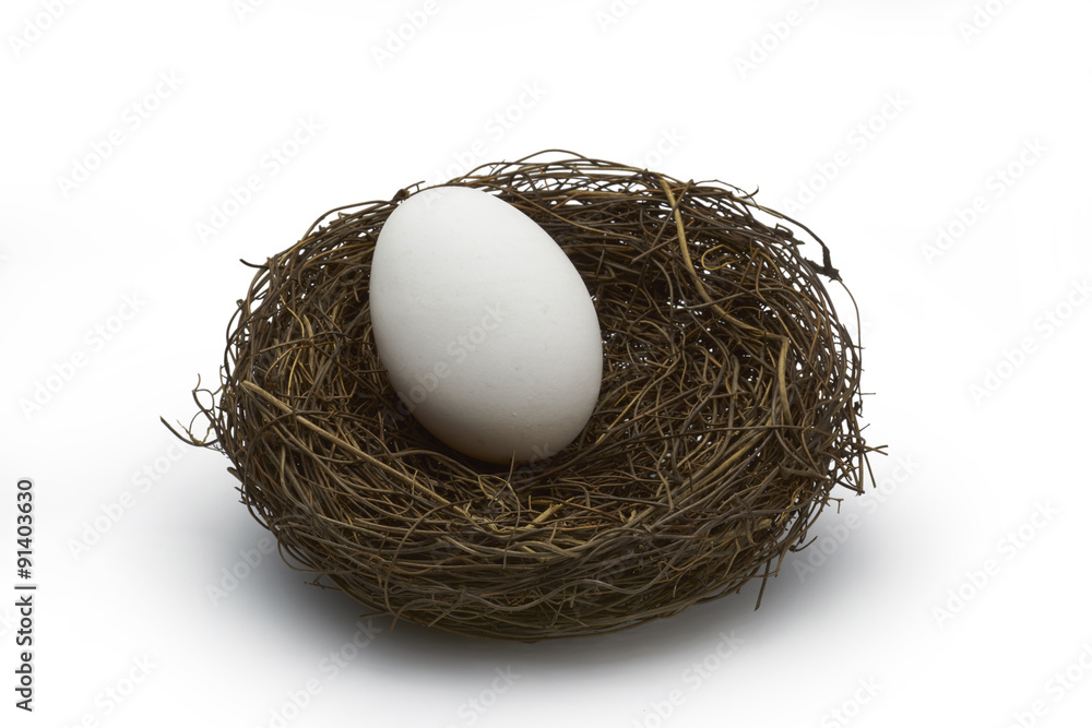 Nest with egg on a white background, clipping path. Nest with egg on a white background, clipping path.