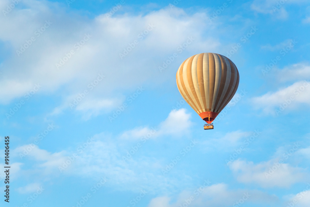 Fototapeta premium hot air balloon in the sky