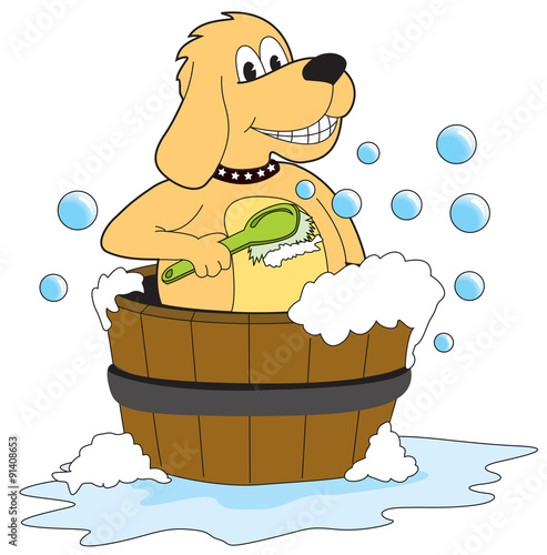 Dog bathing