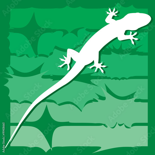 Gecko on wildlife