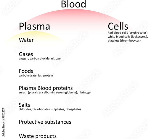 Human blood components