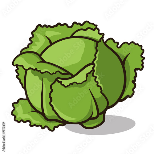 Cabbage 001