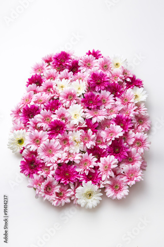 ピンクと白の花4