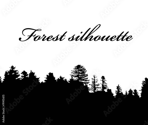 Forest silhouette