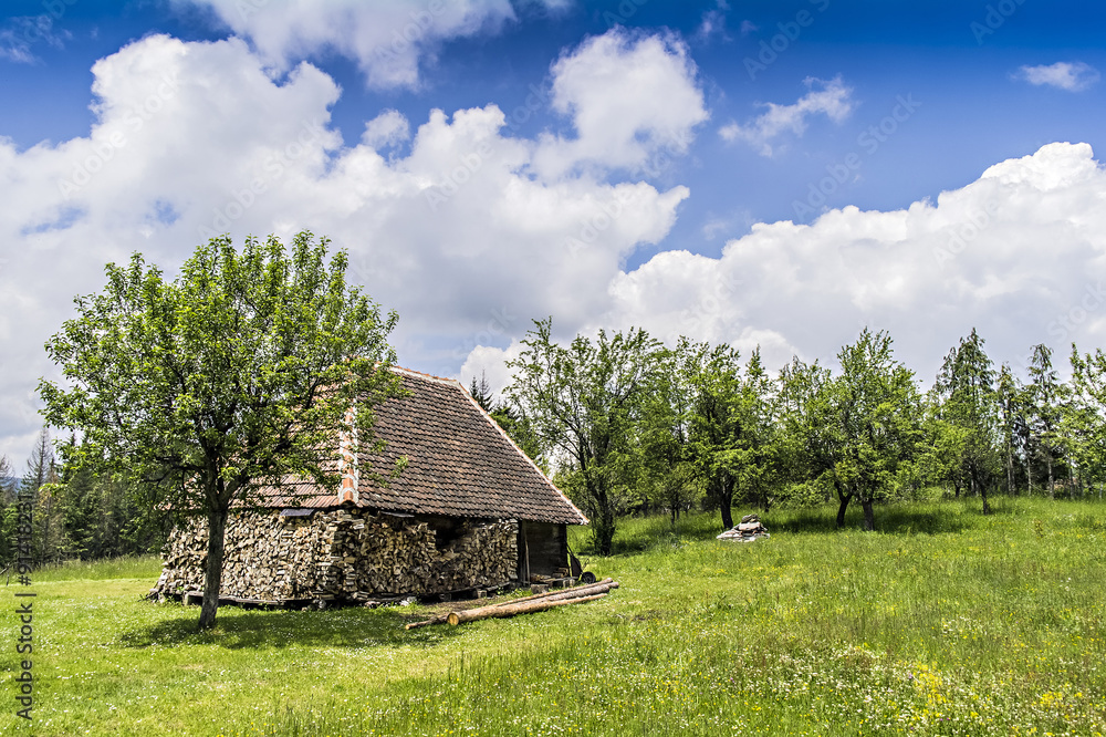 Serbian village – Meadow in Tara mountain