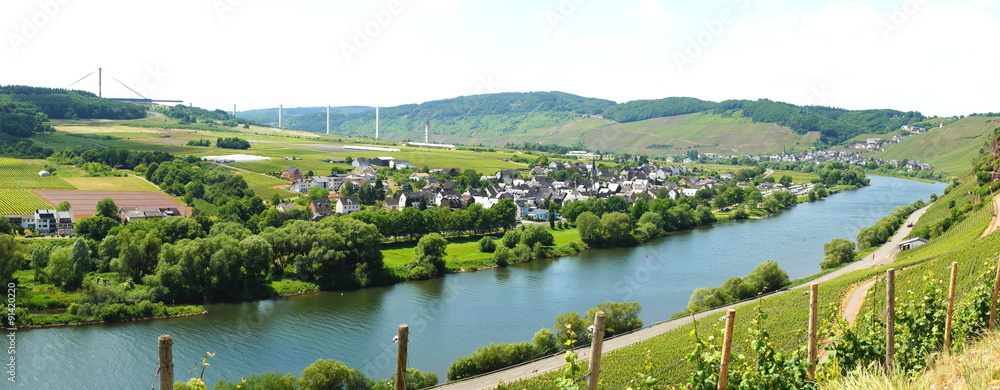 Fototapeta premium Moseltal bei Erden Panorama