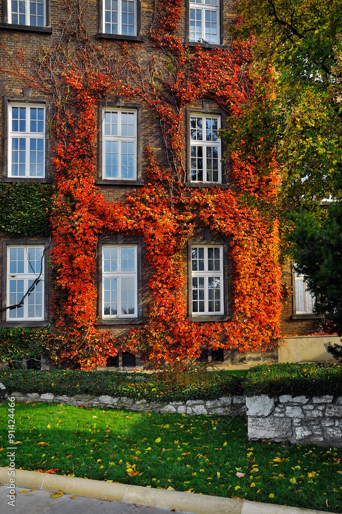 autumn facade