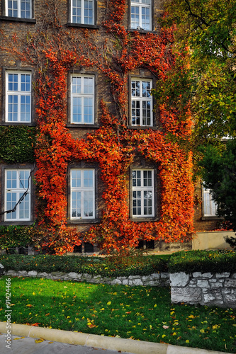 autumn facade #91424466
