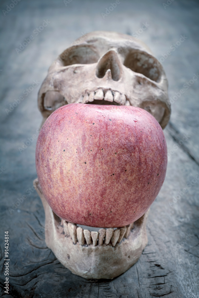 Obraz premium still life with skull human and red apple on old wooden table