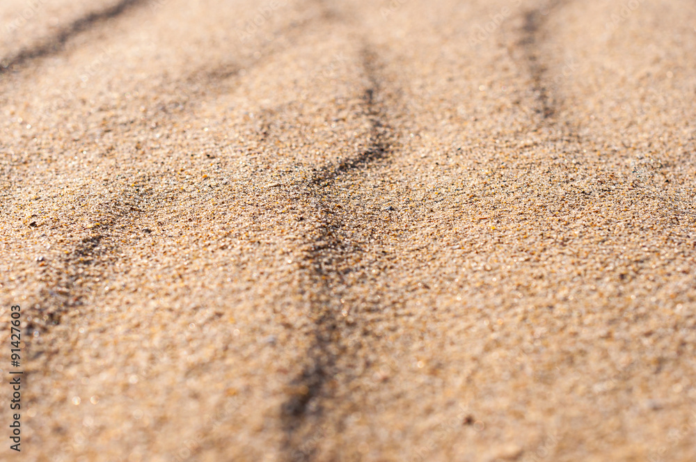 closeup sand pattern of a beach in the summer closeup sand pattern of a beach in the summer