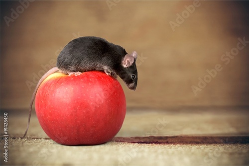 Mouse on Apple.