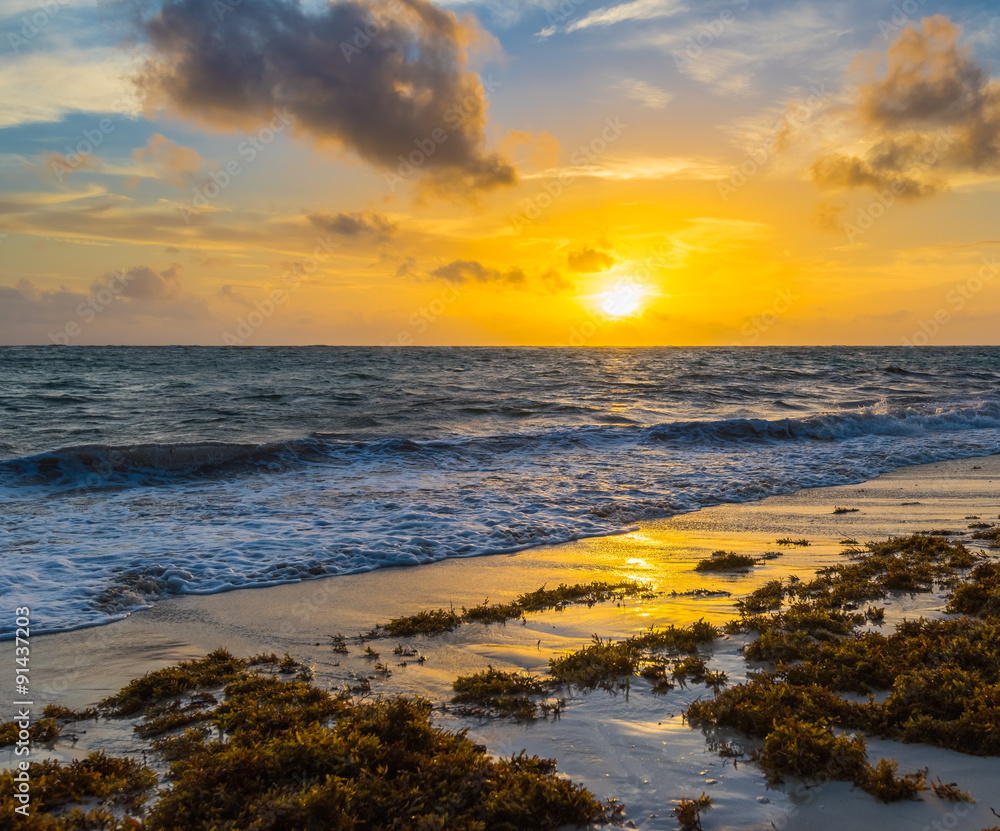 Fototapeta premium surf at dawn