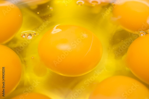 Egg Yolk Close Up Background