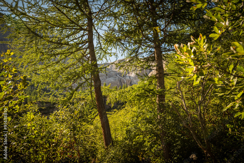 Fototapeta premium Bosco verso le cascate Matarot