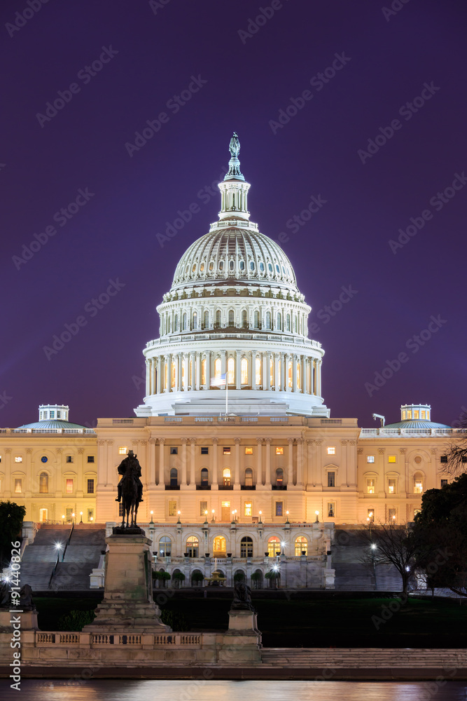 The United States Capitol building in Washington DC