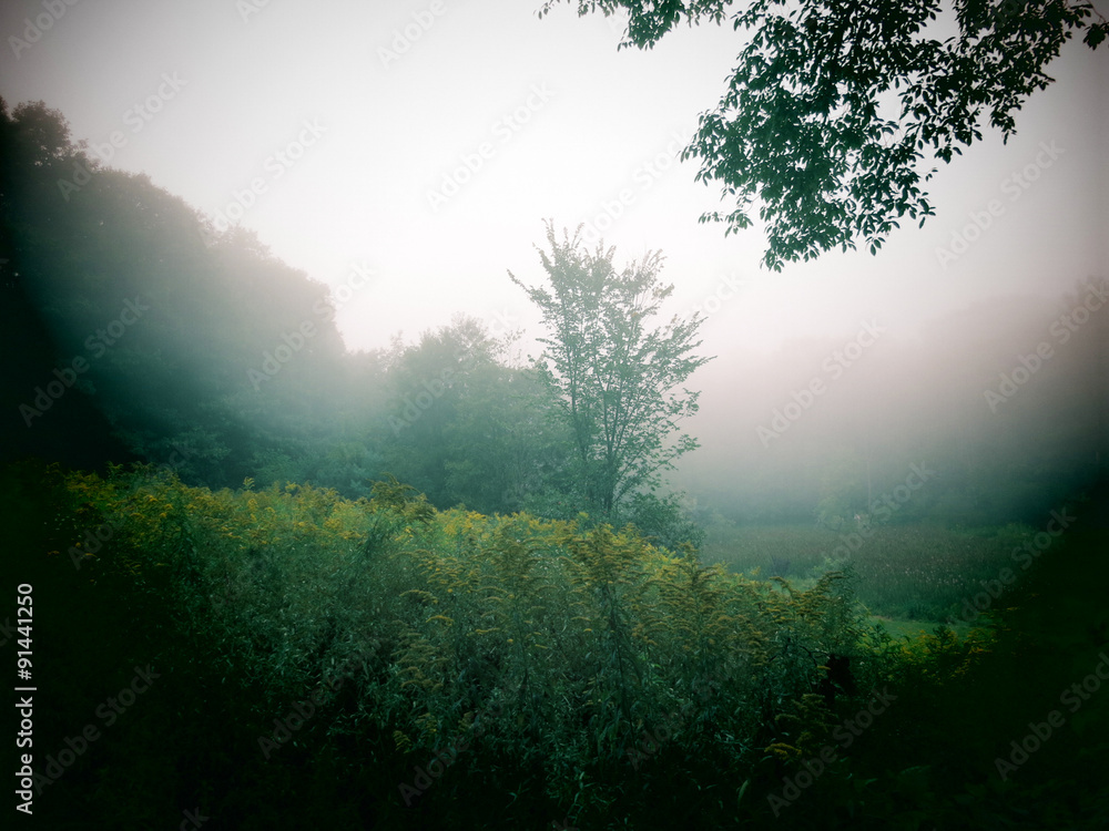 A foggy morning view in the Berkshire Mountains of Western Massachusetts. A foggy morning view in the Berkshire Mountains of Western Massachusetts.