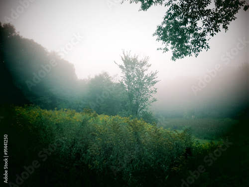 A foggy morning view in the Berkshire Mountains of Western Massachusetts.