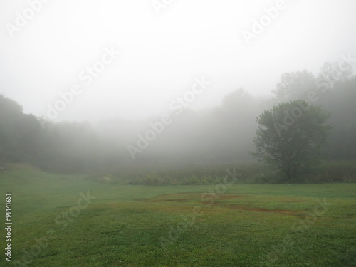 A foggy morning view in the Berkshire Mountains of Western Massachusetts.