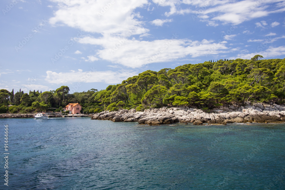Sea view of rocky coastline and lush forest at the Lokrum Island in Croatia.