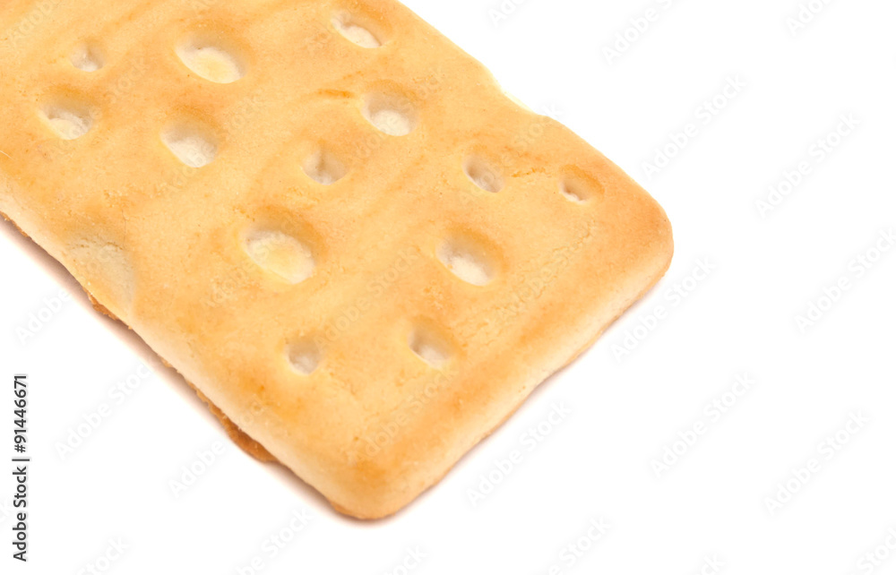 single tasty cookie on white single tasty cookie on white