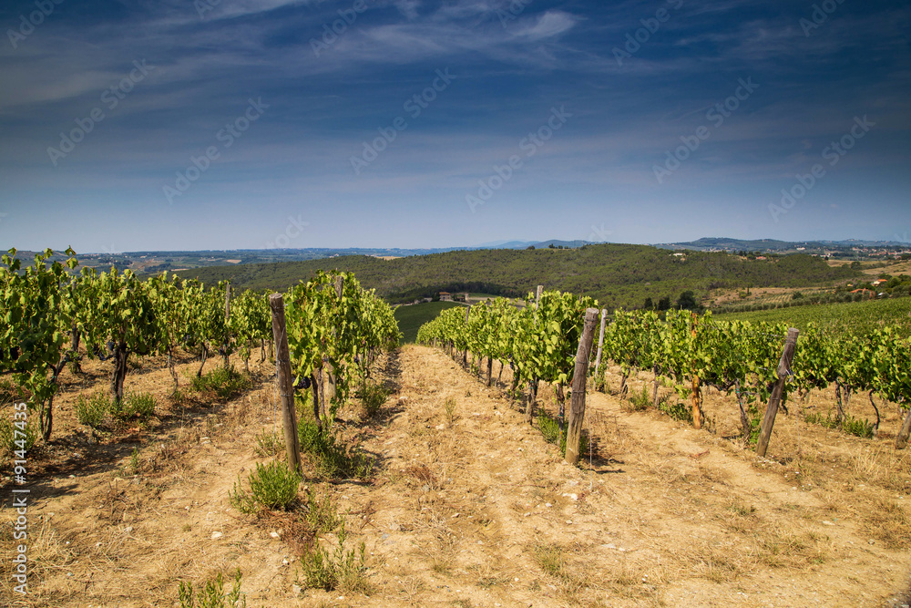 Tuscan winemaking