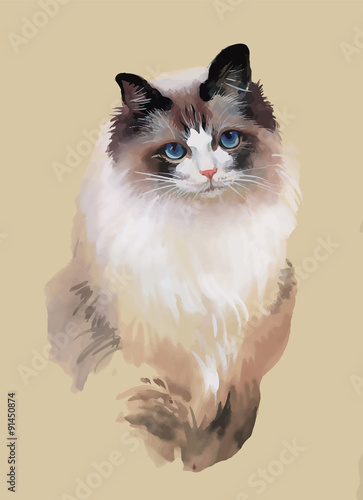 Watercolor portrait of cat illustration vector