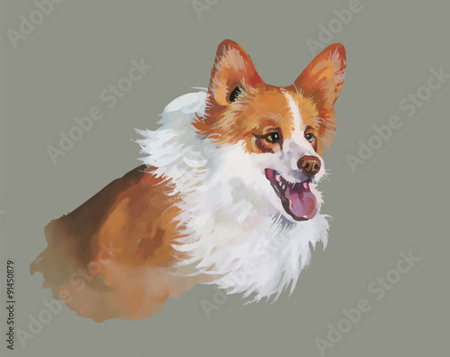 Welsh corgi pembroke Animal dog watercolor illustration isolated