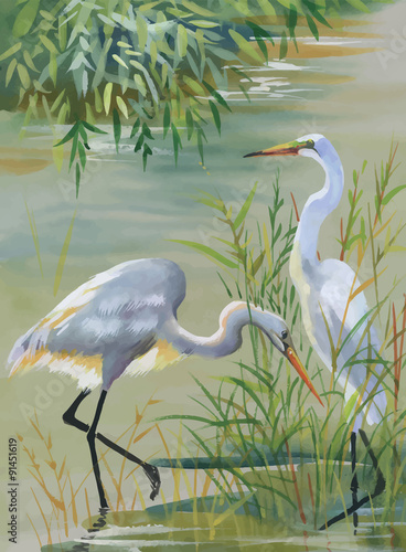 Heron birds watercolor vector illustration