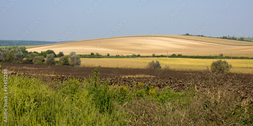 Fototapeta premium View on Hungarian landscape in the province Somogy
