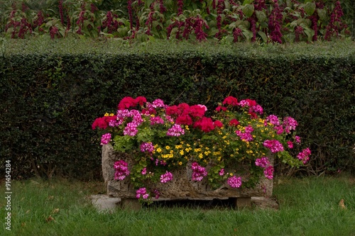 Fototapeta Naklejka Na Ścianę i Meble -  Blumentrog mit Geranien und Sommerblumen
