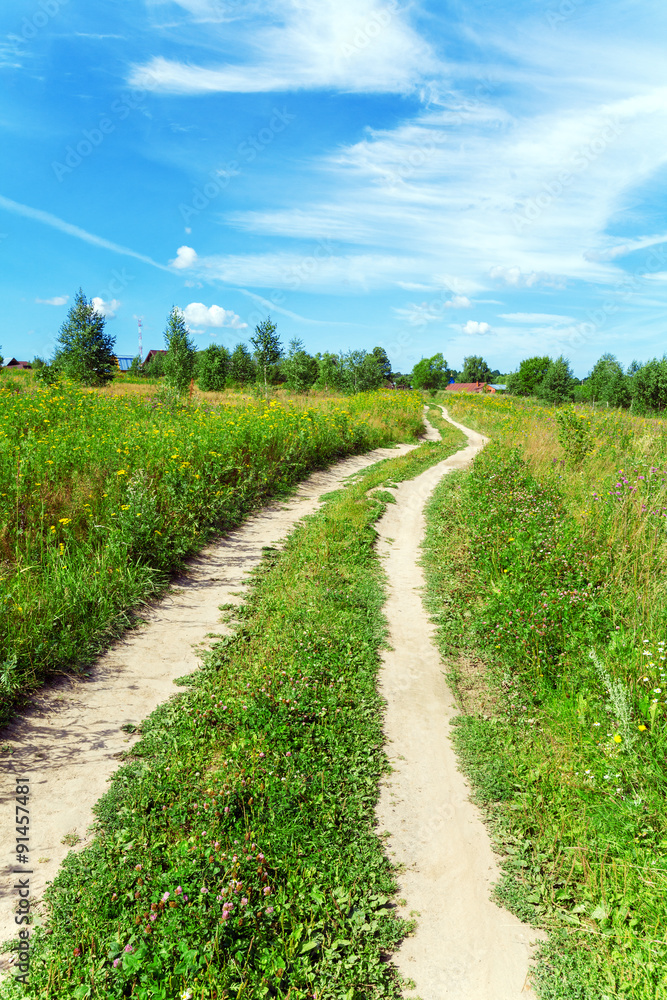 Bright Summer Landscape with Rural Road and Field Bright Summer Landscape with Rural Road and Field