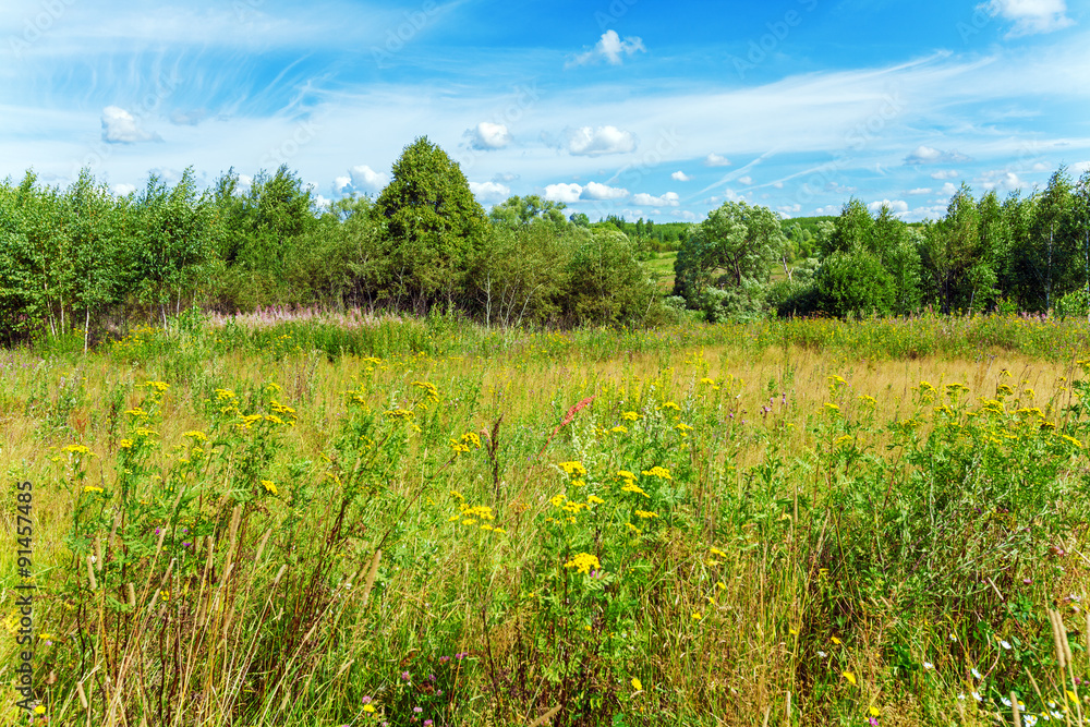 Bright Summer Landscape with Green Field and Clouds Bright Summer Landscape with Green Field and Clouds