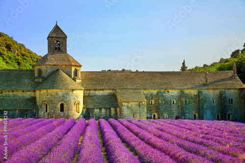 Abbey of Senanque blooming lavender flowers on sunset. Gordes, L