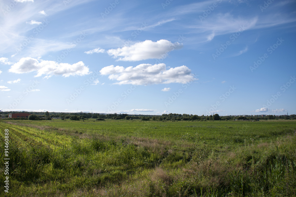 Сельскохозяйственное поле под голубым небом