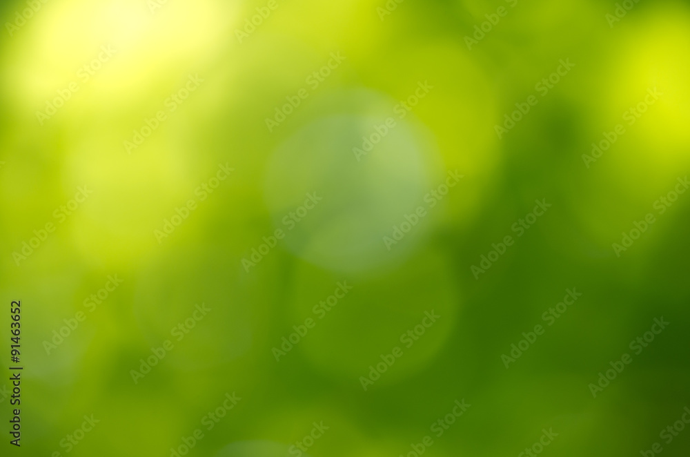 Fototapeta premium green background