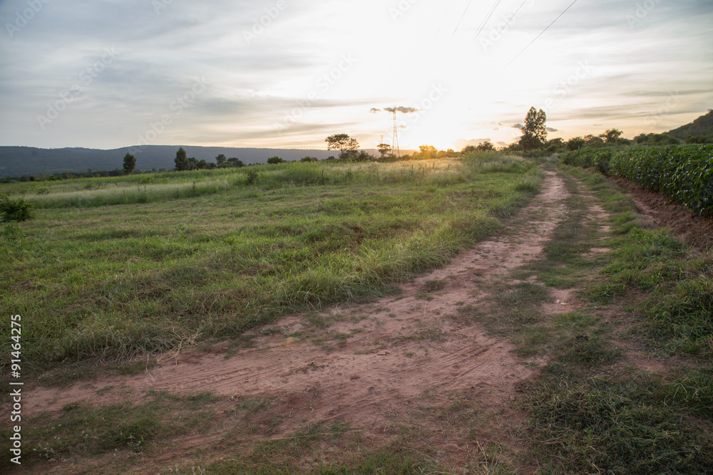 Obraz premium Beautiful sunset over the green large field