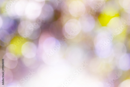 Abstract blur with bokhe of light through the trees Mood of loneliness