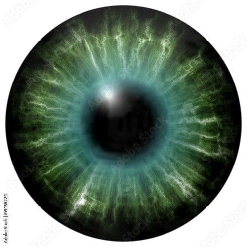 Isolated green eye. Illustration of green blue stripped eye iris, light reflection © rdonar