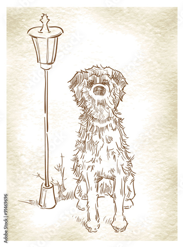 Sketch of dogs. Vector illustration.