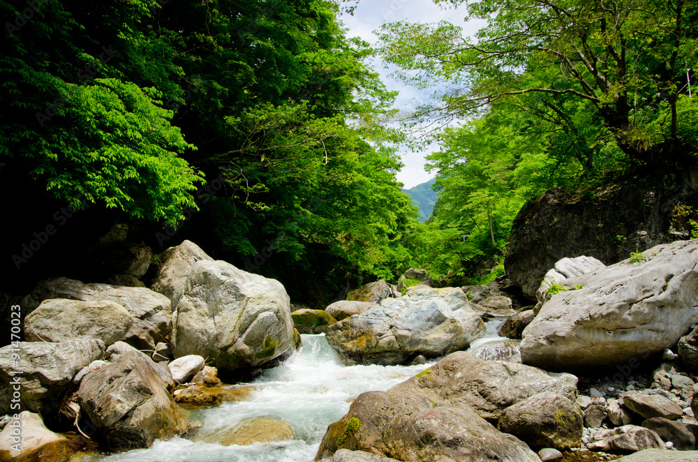 Mountain stream and the beautiful forest of Okutama Mountain stream and the beautiful forest of Okutama