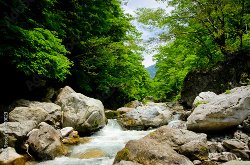 Mountain stream and the beautiful forest of Okutama