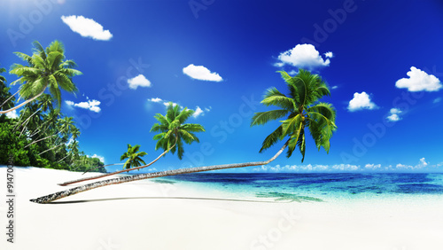 Scenic View Sea Shore Sand Coconut Palm Trees Concept