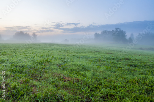 Grassland at foggy dawn