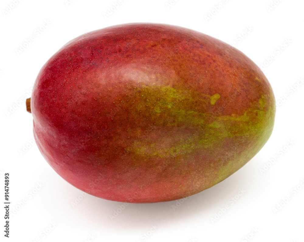 Mango fruit Mango fruit