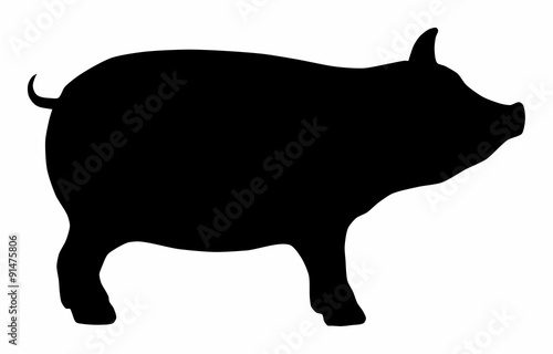 Pig Hog Pork Icon