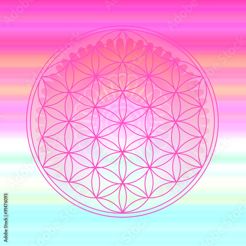 Blume des Lebens - Farbenspiel mit Mandala