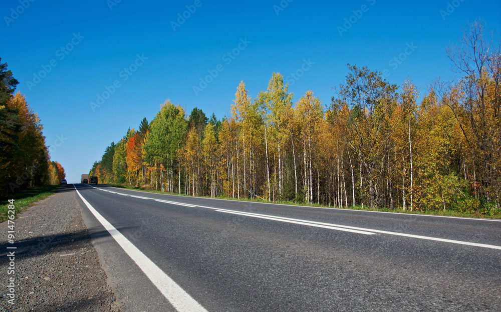 paved road in the autumn forest paved road in the autumn forest