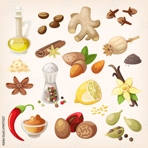 Spices, condiments and herbs decorative elements and icons. Seeds, fruit, flower buds, leaves, blends and roots of condiment plants.