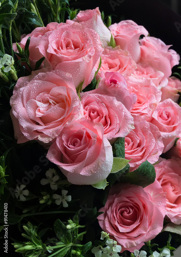 Big Bouquet of Fresh Pink Roses with Green Leafs and Water Drops © irazzers