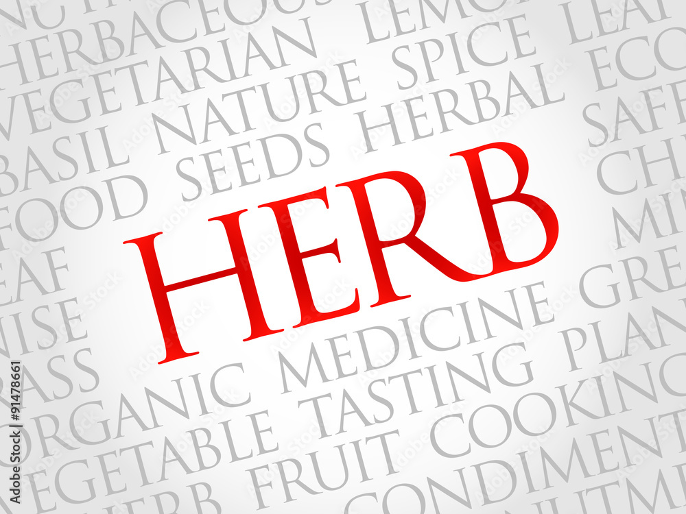 HERB word cloud, health concept HERB word cloud, health concept